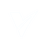 Velozen Host